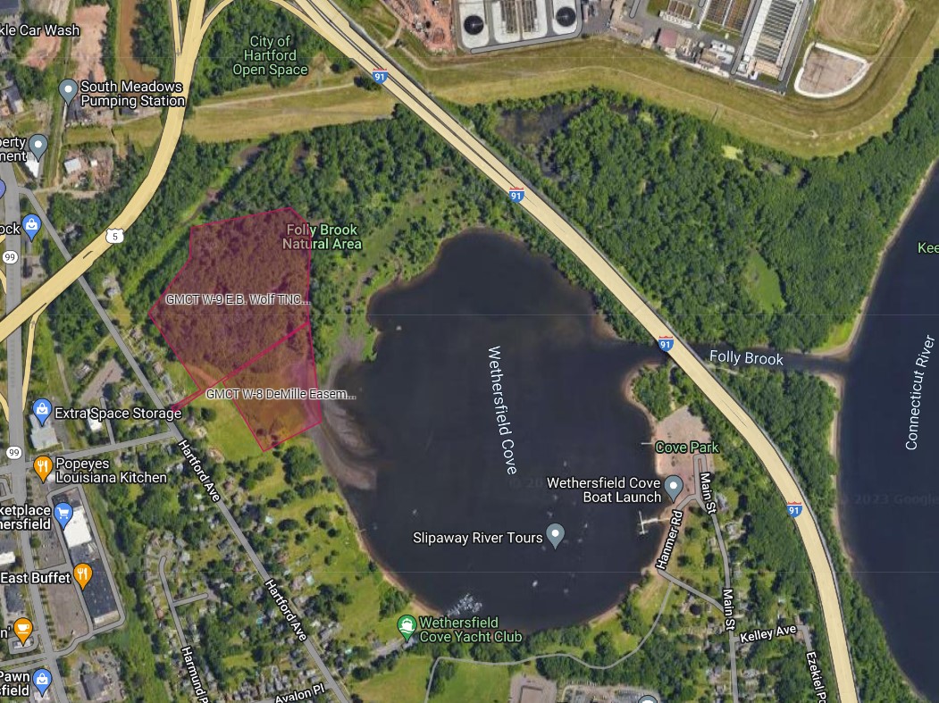 Brisk Winter Walk #6: Sunday, January 18, 2026. 1:00 PM. Wethersfield Wolf Parcel & DeMille Easement on the Cove and Folly Brook