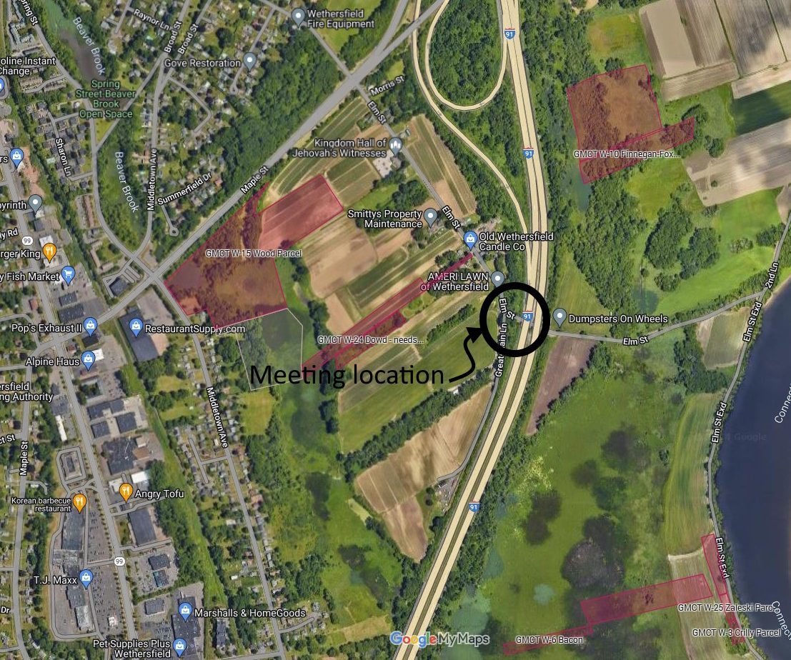 Brisk Winter Walk #5: Sunday, January 11, 2026. 1:00 PM. Wethersfield Meadows Wolcott, Crilly, Zeleski Parcels