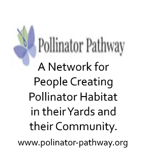 Pollinator Pathway Gathering in Glastonbury